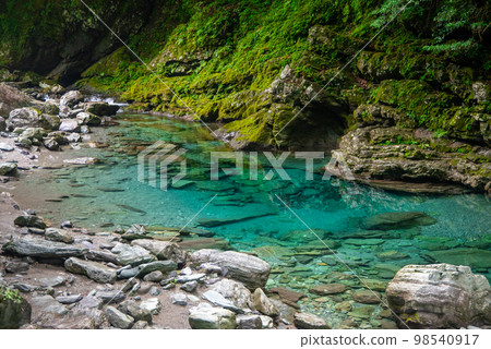 四國山的美麗景色,讓人想起日本的原始風景 四國山的美麗景色,讓人想起日本的原始風景 98540917