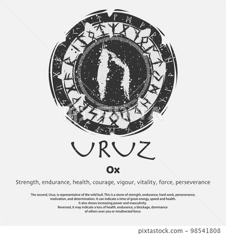 Viking Uruz rune dark circle shield 98541808