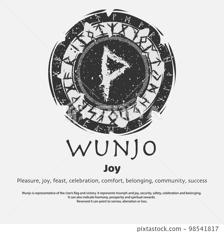 Viking Wunjo rune dark circle shield 98541817