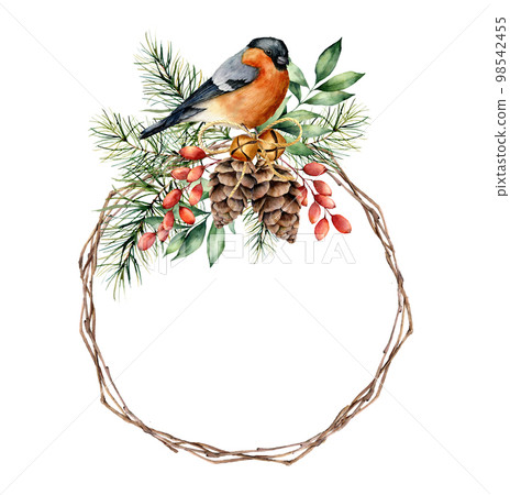 Watercolor Christmas wreath with bullfinch and berries. Hand painted eucalyptus leaves, pine cones, berries, fir branches isolated on white background. Holiday symbol for design, print or background. Watercolor Christmas wreath with bullfinch and berries. Hand painted eucalyptus leaves, pine cones, berries, fir branches isolated on white background. Holiday symbol for design, print or background. 98542455
