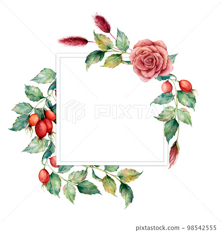 Watercolor card with dogroses and leaves. Hand painted botanical card with dogrose branch isolated on white background. Floral illustration for design, print, fabric or background. Watercolor card with dogroses and leaves. Hand painted botanical card with dogrose branch isolated on white background. Floral illustration for design, print, fabric or background. 98542555