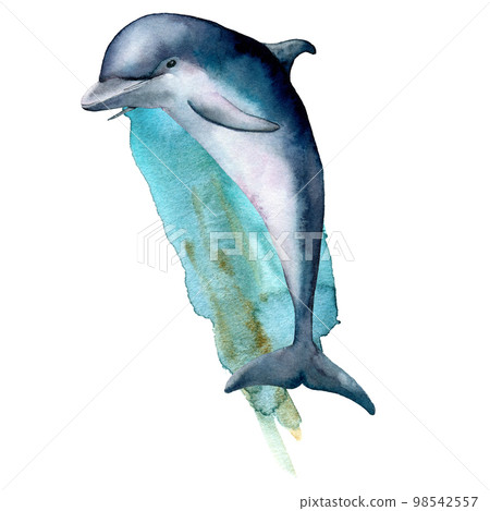 Watercolor dolphin and blue water composition. Hand painted underwater illustration isolated on white background. Aquatic illustration for design, print or background. Watercolor dolphin and blue water composition. Hand painted underwater illustration isolated on white background. Aquatic illustration for design, print or background. 98542557