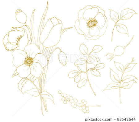 Golden sketch anemone and tulip big set. Hand painted flowers, eucalyptus leaves, berries and branch isolated on white background for design, print or fabric. Golden sketch anemone and tulip big set. Hand painted flowers, eucalyptus leaves, berries and branch isolated on white background for design, print or fabric. 98542644