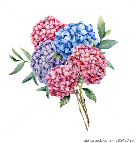 Watercolor elegance bouquet with hydrangea. Hand painted pink, blue and violet flowers with eucalyptus leaves and branch isolated on white background. Nature botanical illustration for design, print Watercolor elegance bouquet with hydrangea. Hand painted pink, blue and violet flowers with eucalyptus leaves and branch isolated on white background. Nature botanical illustration for design, print 98542780