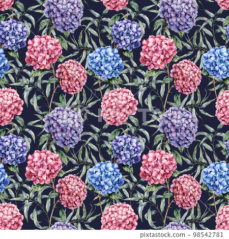 Watercolor pattern with hydrangea and eucalyptus. Hand painted blue, violet, pink flowers with eucalyptus leaves and branch isolated on dark background. Nature botanical illustration for design. Watercolor pattern with hydrangea and eucalyptus. Hand painted blue, violet, pink flowers with eucalyptus leaves and branch isolated on dark background. Nature botanical illustration for design. 98542781