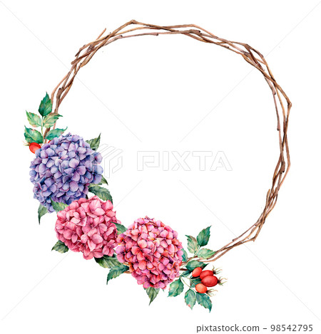 Watercolor wreath with hydrangea and dog rose. Hand painted pink and violet flowers with eucalyptus leaves isolated on white background for design, print. 98542795