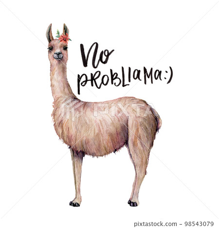 Watercolor No probllama card with llama. Hand painted beautiful illustration with animal, flower and lettering isolated on white background. For design, print, fabric or background. Watercolor No probllama card with llama. Hand painted beautiful illustration with animal, flower and lettering isolated on white background. For design, print, fabric or background. 98543079
