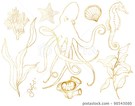 Golden sketch set with underwater wildlife. Hand painted octopus, seahorse, laminaria, starfish and shell isolated on white background. Aquatic line art illustration for design, print or background. Golden sketch set with underwater wildlife. Hand painted octopus, seahorse, laminaria, starfish and shell isolated on white background. Aquatic line art illustration for design, print or background. 98543080