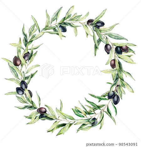 Watercolor wreath with black olive berries and leaves. Hand painted floral border with olive fruit and tree branches with leaves isolatedon white background. For design, print and fabric. 98543091