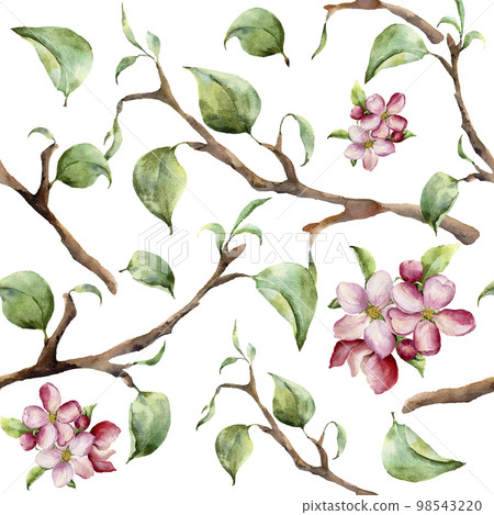 Watercolor pattern with tree branches and apple blossom. Hand painted spring ornament with floral elements with leaves isolated on white background. For design and fabric 98543220