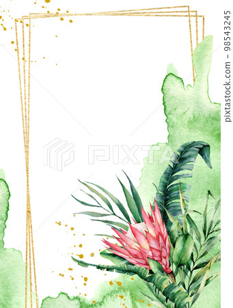 Watercolor polygonal gold frame with a bouquet of protea. Hand drawn floral label isolated on white background. Botanical illustration. Greeting template for design. 98543245