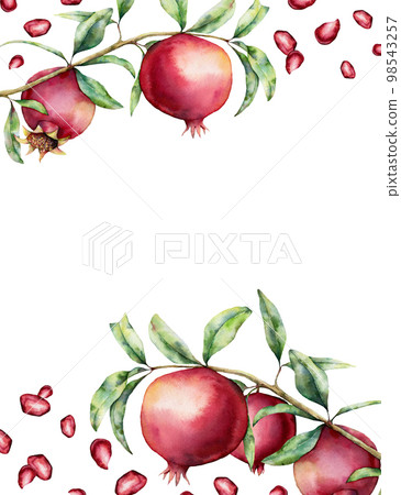 Watercolor pomegranate and berries card. Hand painted garnet fruit on branch with leaves isolated on white background. Floral elegant illustration for design, print. 98543257