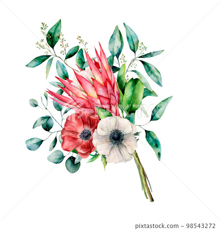 Watercolor bouquet with protea, anemone and eucalyptus leaves. Hand painted flower and branch isolated on white background. Nature botanical illustration for design, print. Realistic delicate plant. 98543272