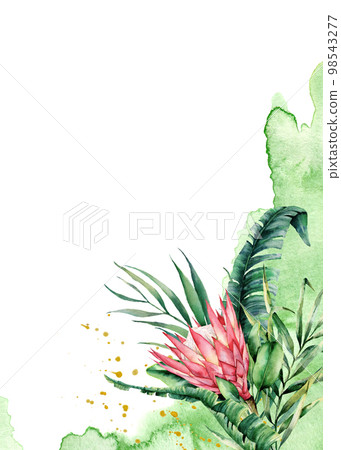 Watercolor card with a bouquet of protea. Hand drawn floral label isolated on white background. Botanical illustration. Greeting template for design. 98543277