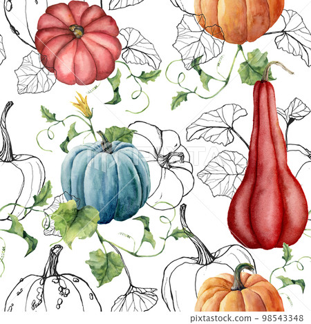 Watercolor seamless pattern with red and blue pumpkins. Hand painted gourds with leaves isolated on black background. Autumn festival. Botanical illustration for design, print, fabric or background. 98543348