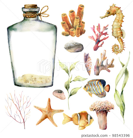 Watercolor nautical set with coral animals, plants and fish. Hand painted underwater branches, starfish, bottle isolated on white background. Sea life illustration. For design, print or background. Watercolor nautical set with coral animals, plants and fish. Hand painted underwater branches, starfish, bottle isolated on white background. Sea life illustration. For design, print or background. 98543396