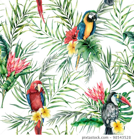 Watercolor parrot and toucan seamless pattern. Hand painted illustration with bird, protea and palm leaves isolated on white background. Wildlife illustration for design, print, fabric, background. Watercolor parrot and toucan seamless pattern. Hand painted illustration with bird, protea and palm leaves isolated on white background. Wildlife illustration for design, print, fabric, background. 98543528