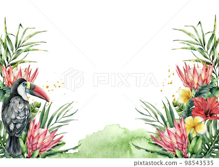 Watercolor tropical flowers and toucan banner. Hand painted bird, protea, hibiscus and plumeria isolated on white background. Nature botanical illustration for design, print. Realistic delicate plant. 98543535