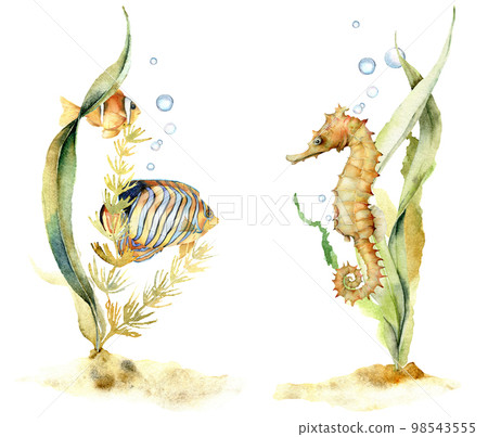 Watercolor compositions with tropical fishes and seahorse. Hand painted underwater floral illustration with algae and air buble isolated on white background. For design, fabric or background. 98543555