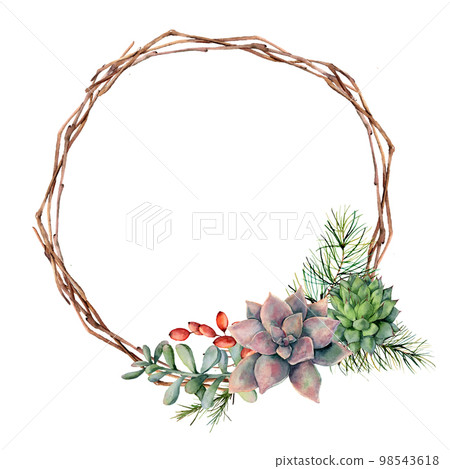 Watercolor winter wreath with succulents, pine tree branch, berries and eucalyptus. Hand painted cacti, rosemary, eucalyptus leaves and branches isolated on white background. Botanical illustration. Watercolor winter wreath with succulents, pine tree branch, berries and eucalyptus. Hand painted cacti, rosemary, eucalyptus leaves and branches isolated on white background. Botanical illustration. 98543618