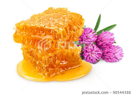 Honeycombs and honey puddle isolated on white background with full depth of field 98544388