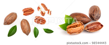 pecan nut decorated with green leaves isolated on white background. Top view. Flat lay 98544443