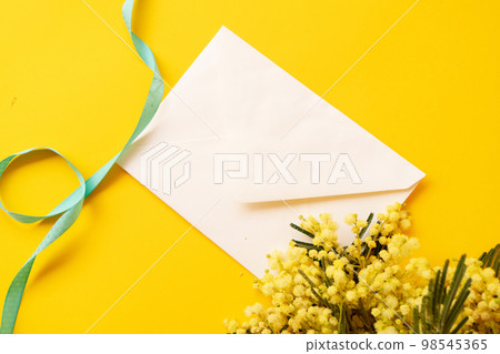 Mimosa fresh flowers 98545365