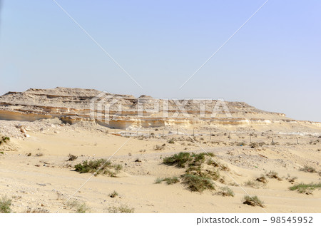 Desert landscape with limestone hillocks in the background Desert landscape with limestone hillocks in the background 98545952