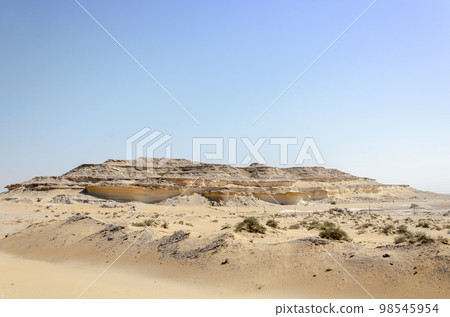 Desert landscape with limestone hillocks in the background 98545954