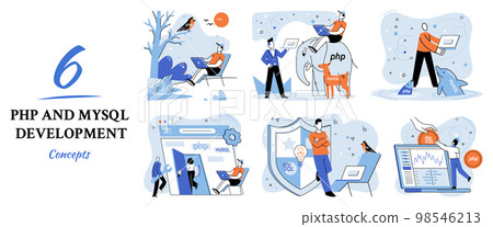 PHP and MySql development. Software website developer, programmer service, programming language 98546213