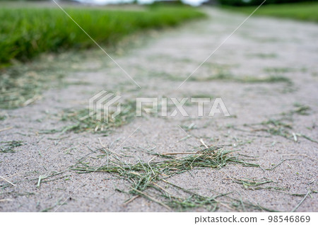 Grass clippings strewn across a residential sidewalk after mowing.  98546869