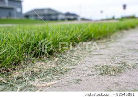 Grass clippings strewn across a residential sidewalk after mowing. Grass clippings strewn across a residential sidewalk after mowing. 98546891