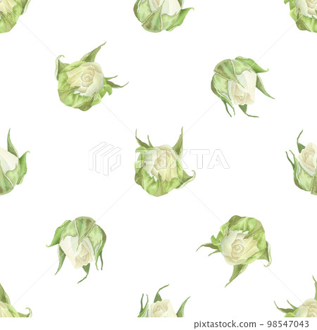 Seamless pattern of white roses buds. Polka dots. Watercolor botanical illustration. Isolated on a white background.Hand painting floral print in vintage style.For design of wrapping paper, wallpaper Seamless pattern of white roses buds. Polka dots. Watercolor botanical illustration. Isolated on a white background.Hand painting floral print in vintage style.For design of wrapping paper, wallpaper 98547043