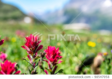 Watercolor effect used on a photo of cascades and rushing water in Avalanche Creek at Glacier National Park, Montana.  98547058