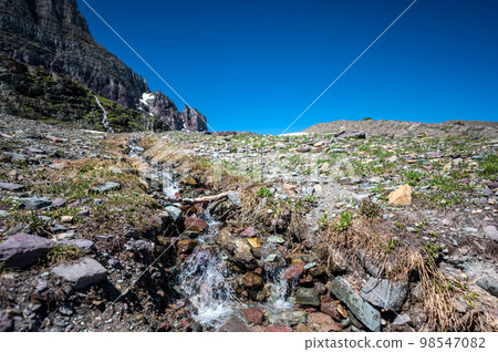 Snow-melt runoff along Logan Pass trail to Hidden Lake at Glacier National Park, Montana.  98547082