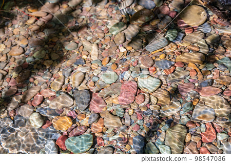 Rainbow multi-colored rocks in Avalanche creek leading towards Lake McDonald at Glacier National Park, Montana, USA 98547086