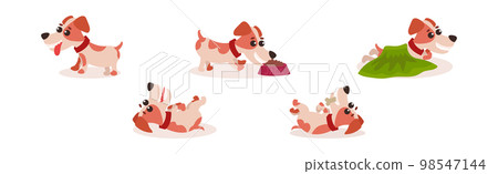 Funny Jack Russell Terrier Puppy with Cute Snout Vector Set Funny Jack Russell Terrier Puppy with Cute Snout Vector Set 98547144