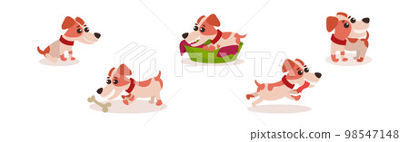 Funny Jack Russell Terrier Puppy with Cute Snout Vector Set Funny Jack Russell Terrier Puppy with Cute Snout Vector Set 98547148