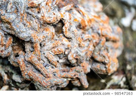 Rusted and corroded chain discarded and buried Rusted and corroded chain discarded and buried 98547163