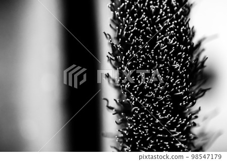 Macro selective focus on the bristle ends of a wire brush wheel on a grinder. Macro selective focus on the bristle ends of a wire brush wheel on a grinder. 98547179