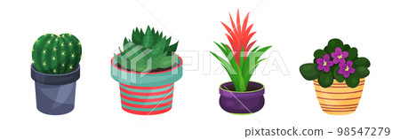 Green Indoor Garden Plants Growing Ceramic Pots Vector Set 98547279