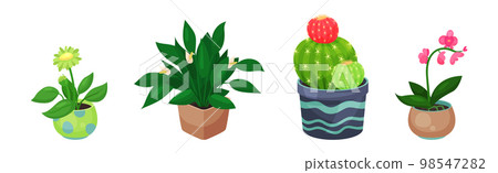 Green Indoor Garden Plants Growing Ceramic Pots Vector Set 98547282