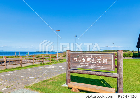 Wakka Gensei Kaen（北海道野兔三五草） 98547426