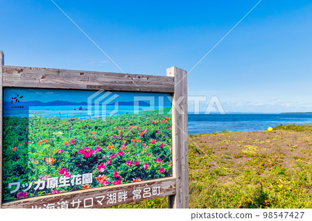 Wakka Gensei Kaen(北海道野兔三五草) Wakka Gensei Kaen(北海道野兔三五草) 98547427