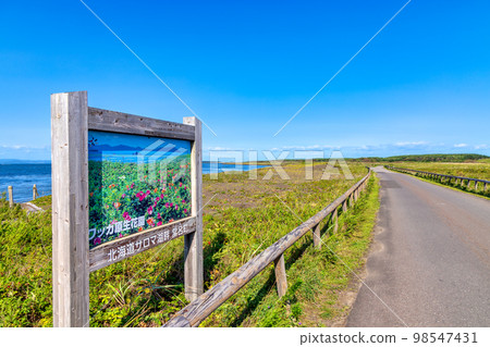 Wakka Gensei Kaen（北海道野兔三五草） 98547431