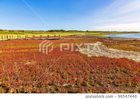 Wakka Gensei Kaen (Hokkaido Hare Sangoso) 98547440
