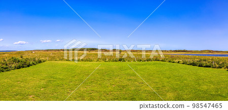 Wakka Gensei Kaen(北海道野兔三五草) Wakka Gensei Kaen(北海道野兔三五草) 98547465