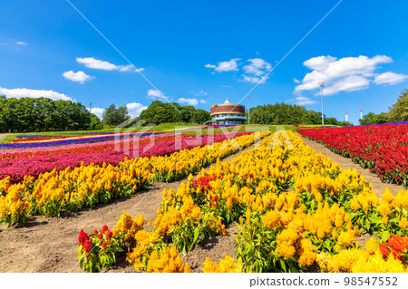 Flower Garden Hana Tento（網走花九月） 98547552