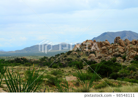 Texas Canyon Sonora Desert Arizona 98548111
