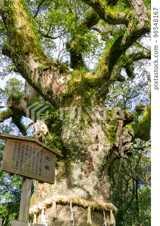 Atsuta Jingu Otsunisu 98548167